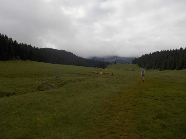 Mariazell 2013 153